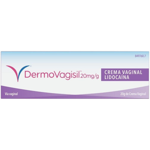 Dermovagisil Crema Vaginal 20 G Vagisil