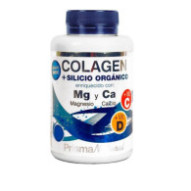 Colágeno Marino + Silicio...