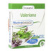 Valeriana 30 Cápsulas Nutrabásicos Drasanvi