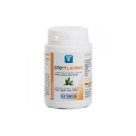 Ergyflavona 60 Cápsulas...