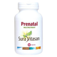 Prenatal Multinutrients 90...