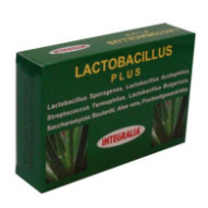Lactobacillus Plus 60...