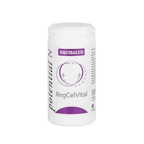 Regcelvital Potential N 60 Cápsulas Equisalud