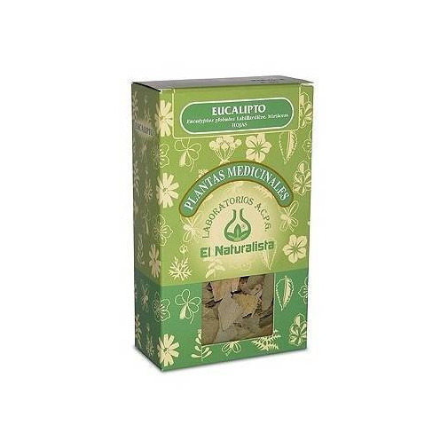 Eucalipto Planta 160 Gr El Naturalista