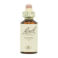 Flores De Bach 13 Aulaga 20 Ml