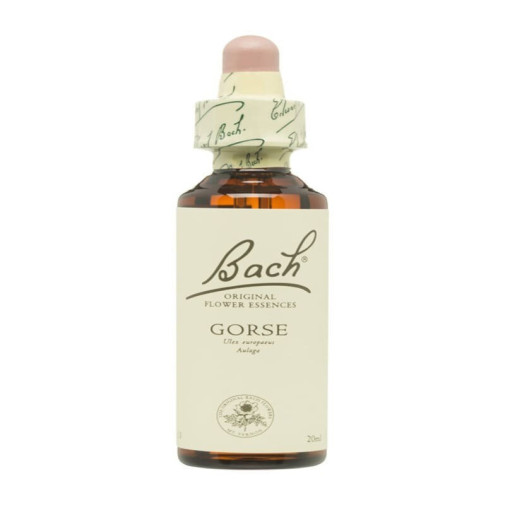 Flores De Bach 13 Aulaga 20 Ml