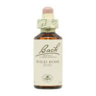 Flores De Bach 37 Rosa...