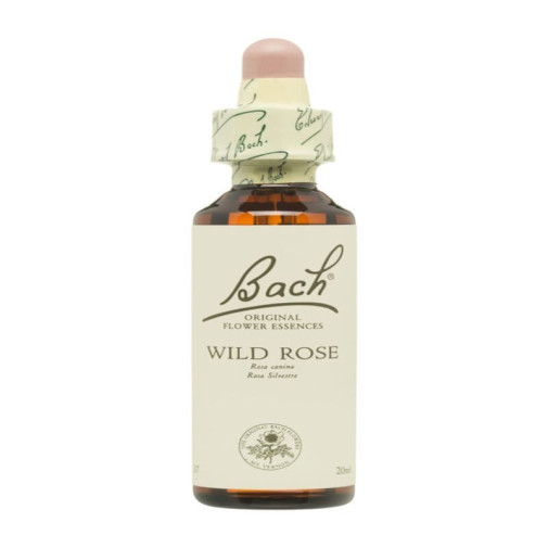 Flores De Bach 37 Rosa Silvestre 20 Ml