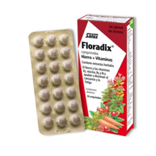 Floradix 84 Comp Salus