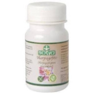 Harpagofito 100 Comprimidos...