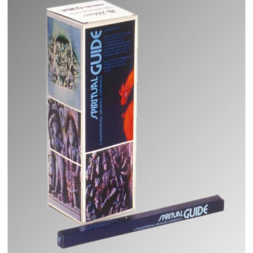 Incienso Padmini Guia Spiritual 10 Gr