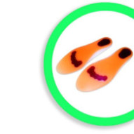 Plantilla Comforsil Anti...