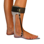 Antiequino Varo Planta...