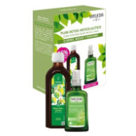 Plan Detox Anticelulítico...